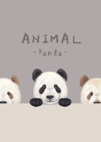 ANIMAL - Panda - GRAY