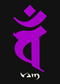 BONJI zodiac [vaM] BLACK PURPLE (0676