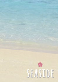 海辺 さくら'モスグレー'