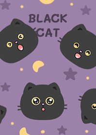Black Cat on Berry!