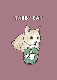 creamtabby1 / dark rose