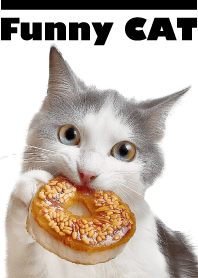 Engraçado CAT-branco4