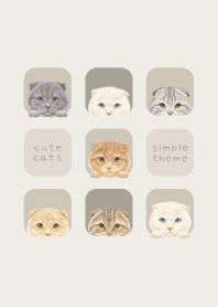 CATS - Scottish fold - GREEN GRAY