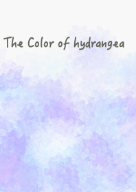 The color of hydrangea02