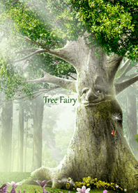 Tree Fairy ～樹の妖精～