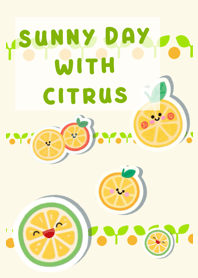 Sunny Day with Citrus