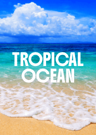 TROPICAL OCEAN THEME 29
