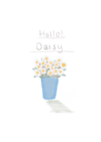 Summer daisy