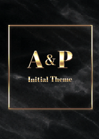 [ A&P ] Initial Theme  Gold Black
