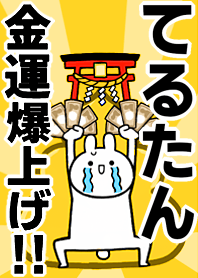 Fortune rise rabbit[Teru-tan]