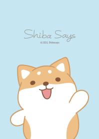 Shibasays Theme 08 Blue