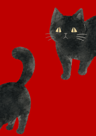 A unique cat06 red & beige