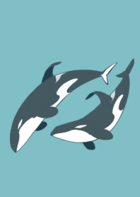 orca Theme