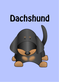 Dachs Dachshund