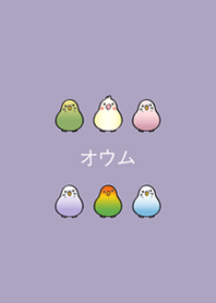 我養的小鸚鵡(莫蘭迪紫色)