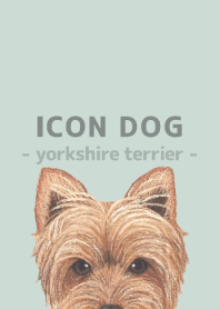 ICON DOG - Yorkshire terrier - GR/05