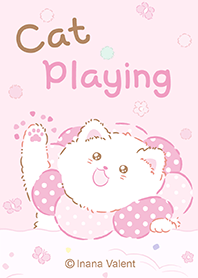 Cat Playing