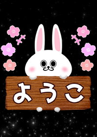 イルミネーション風ようこ専用名前着せ替え