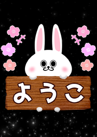 Illumination Youko rabbit Name Theme