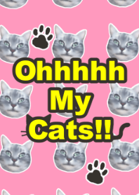 Ohhhhh My Cats!!
