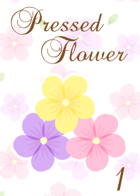 Pressed Flower 1