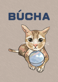 I'm Bucha.