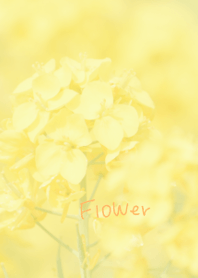 Yellow flowers theme