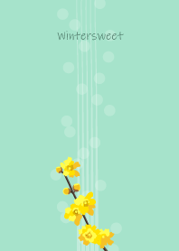 January's birth flower,Wintersweet