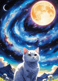 Night Moon Star Cat 8eD81e