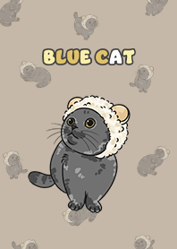 bluecat2 - dark tan