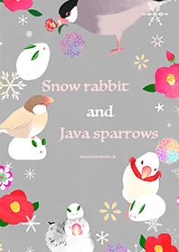 Snow rabbit and Java sparrows
