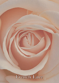 Rose01 French Lace