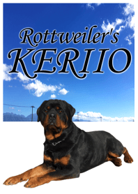 Rottweiler's KERIIO