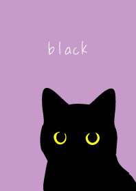 Staring Black Cat on light purple