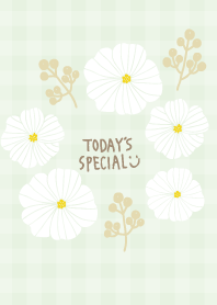 Flowers and fruits check20 from Japan