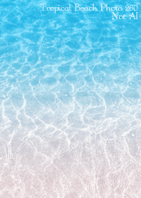 TropicalBeach Photo 260 Not AI