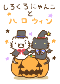 white cat and black cat4 Halloween