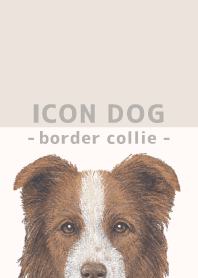 ICON DOG - ボーダーコリー - BEIGE/04