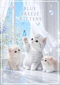(blue) Blue Breeze Kittens