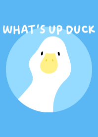 What's up Duck