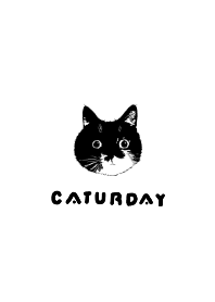 ねこねこねーこ２