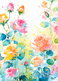 Beautiful rose flower(R4315)