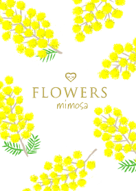 Mimosa Flowers