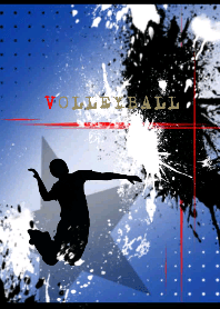 Splash Valleyball Blue Ver.