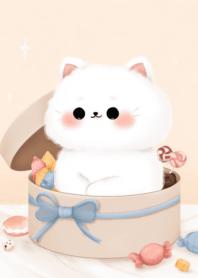 แมวอ้วนกลม น่ารัก_60