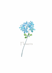 Watercolor flower1.