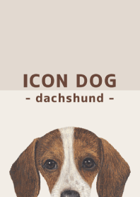 ICON DOG - dachshund - BROWN/04