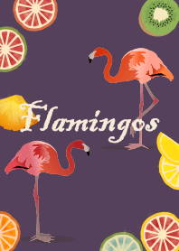 [改] 火烈鳥 + 紫色 |os