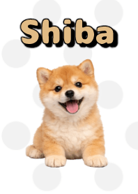 ธีมตุ๊กตาชิบะอินุ B/W 03