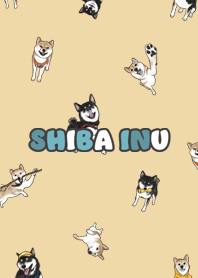 shibainu3 - yellow